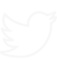 Twitter Πανοζάχος